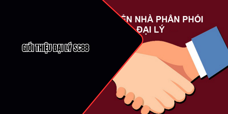 Chương trình đại lý SC88 được nhiều hội viên quan tâm